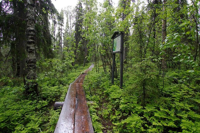 From Rovaniemi: Day Tour Hiking to Auttiköngäs Falls - Additional Booking Information