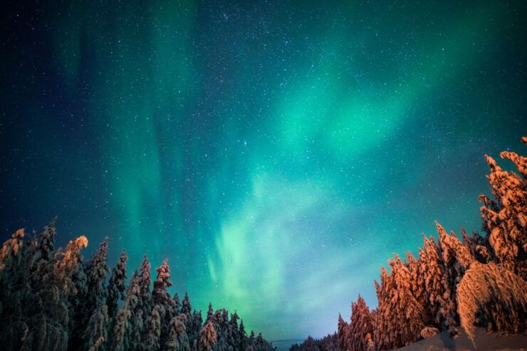 From Rovaniemi: Family-Friendly Northern Lights Tour - Experience Highlights
