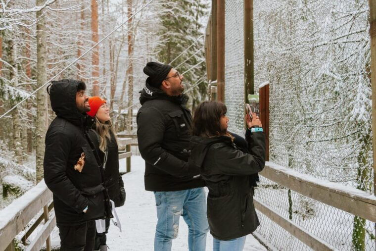 From Rovaniemi: Family Friendly Visit to Ranua Wildlife Park - Final Thoughts  