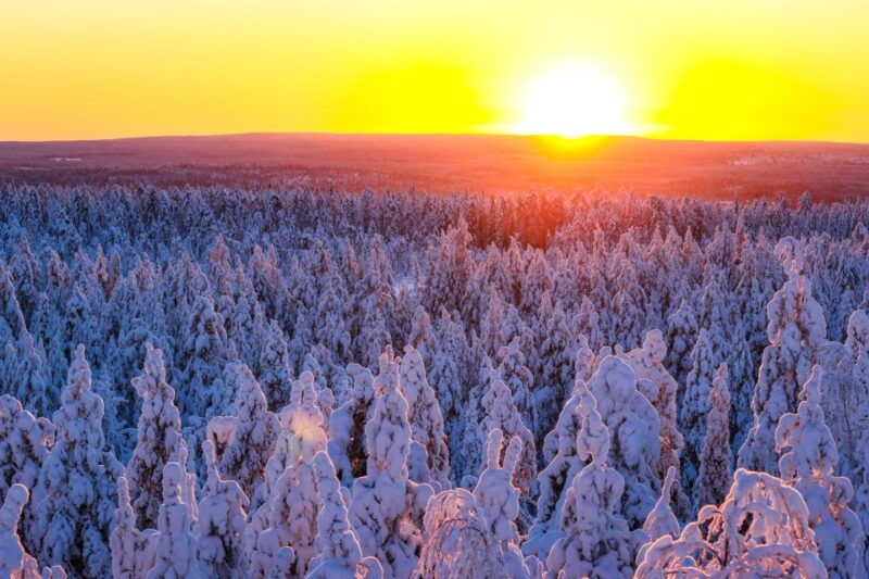 From Rovaniemi: Guided Lapland Snowmobile Adventure - Good To Know