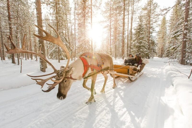 From Rovaniemi: Husky and Reindeer farm with sled ride - Good To Know