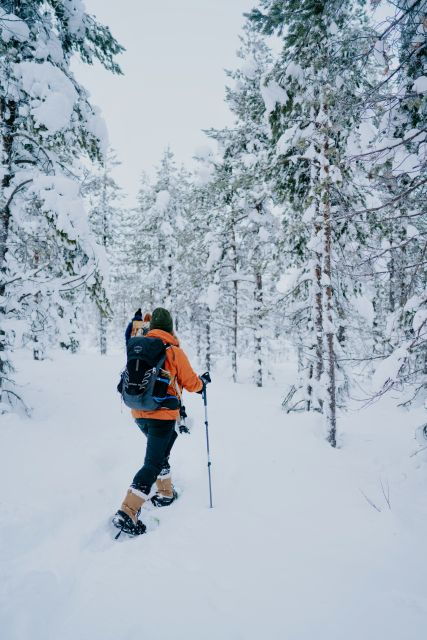 From Rovaniemi: Lapland Snowshoeing Adventure - Experience Details