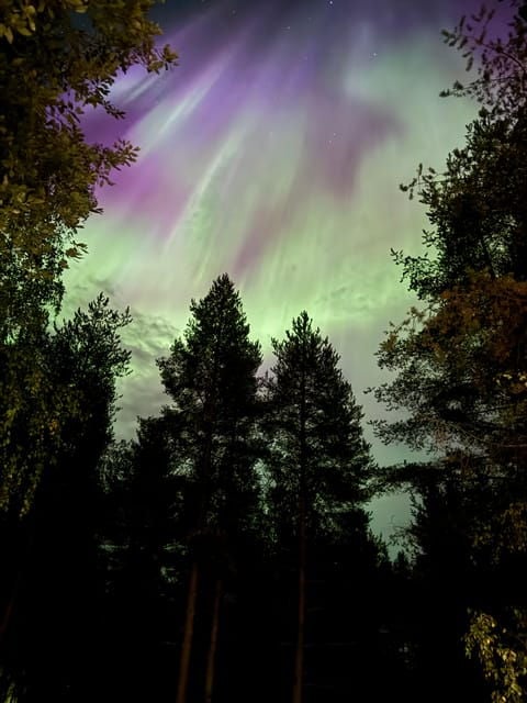 From Rovaniemi: Northern Lights Tour with Campfire Snacks - The Experience: What Makes This Tour Special