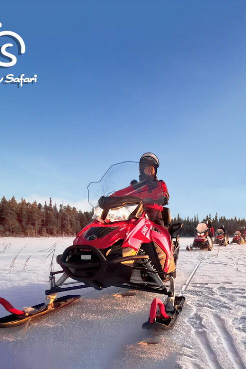 From Rovaniemi: Snowmobile Safari Into Arctic Wilderness - Highlights of the Experience