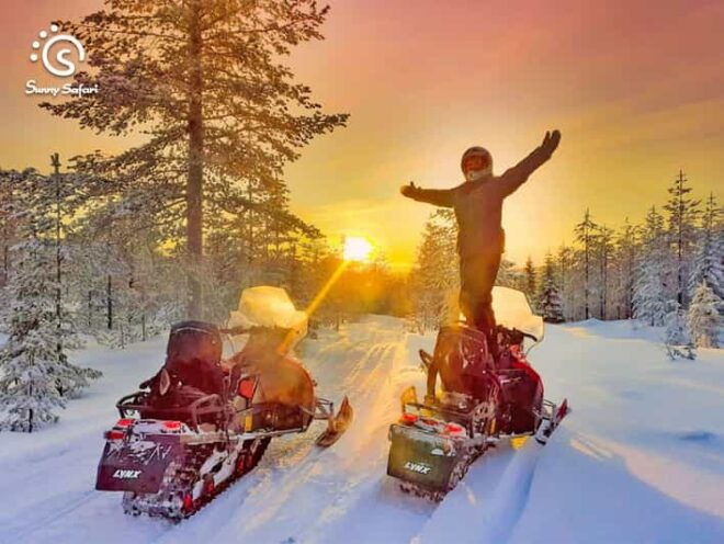 From Rovaniemi: Snowmobile Safari Into Arctic Wilderness - Step-by-Step Itinerary