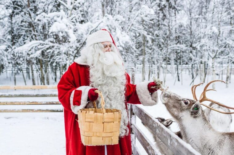 From Rovaniemi: Tour to Santa Claus Village - The Value of This Tour