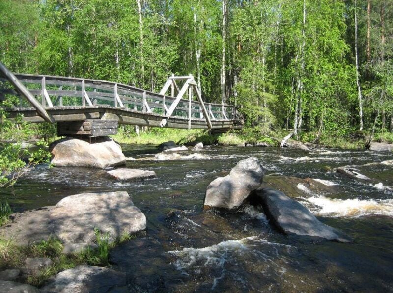 From Rovaniemi: Vikaköngäs Forest Hiking Tour - Review of the Vikaköngäs Forest Hiking Tour from Rovaniemi