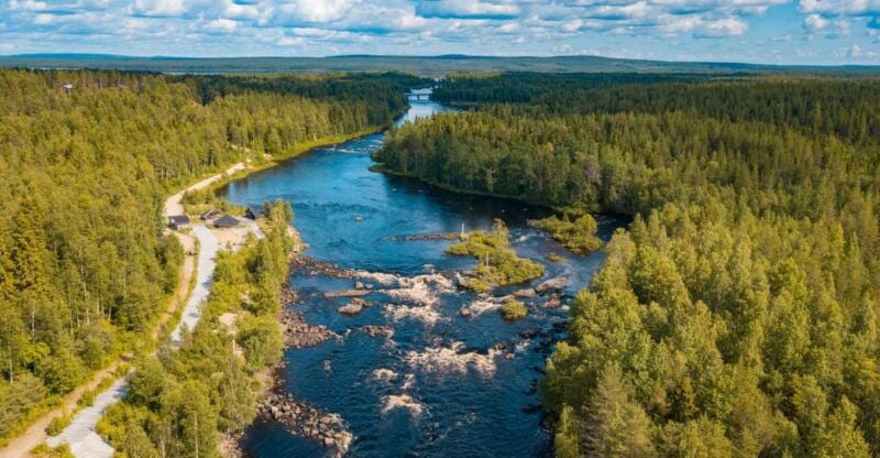 From Rovaniemi: Vikaköngäs Forest Hiking Tour - An Overview of the Vikaköngäs Hiking Experience