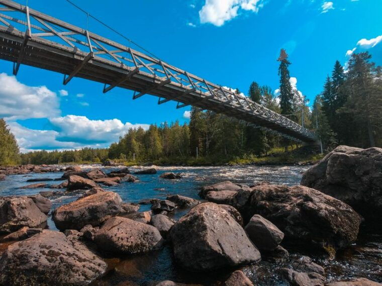 From Rovaniemi: Vikaköngäs Forest Hiking Tour - The Sum Up: Who Will Love This Tour?