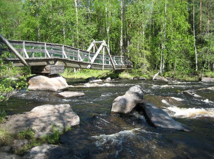 From Rovaniemi: Vikaköngäs Forest Hiking Tour With BBQ - Activity Details