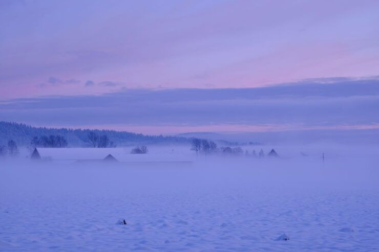 From Rovaniemi: Winter Wonderland Hike With a Hot Drink - Good To Know
