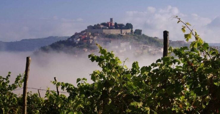 From Rovinj/Bale: Istria in 1 Day Tour With Truffle Tasting - Tour Duration and Logistics