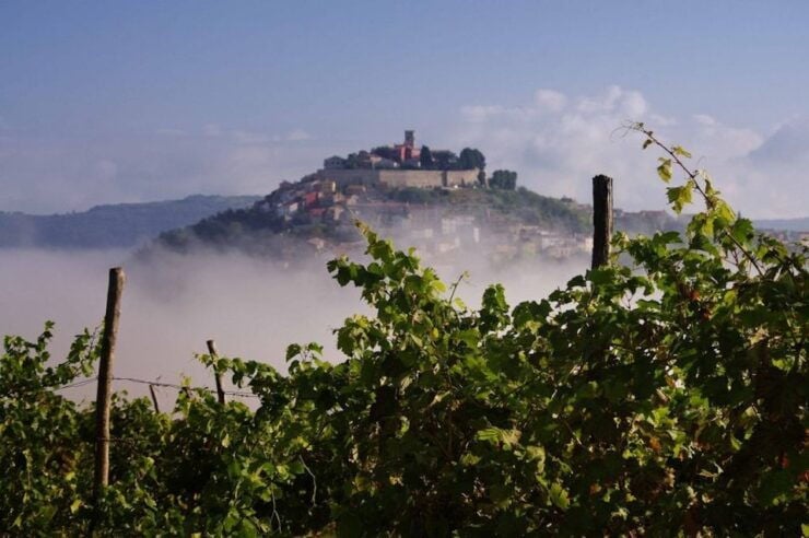 From Rovinj/Bale: Istria in 1 Day Tour With Truffle Tasting - Live Tour Guide and Pickup