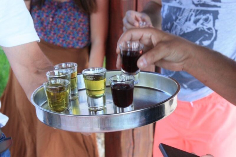 From Rovinj: Rovinj, Motovun and Gronjan Day Tour - Who Will Love This Tour?