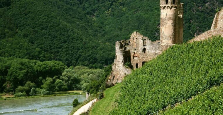 From Rüdesheim: 1.5-Hour Boat Cruise with Wine Tasting - Authentic Experiences from Past Travelers