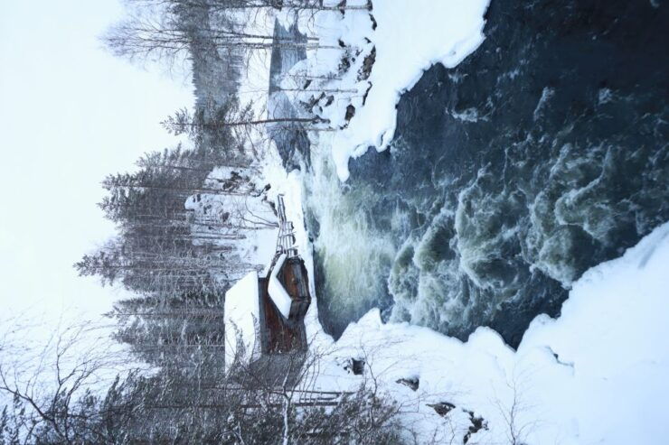 From Ruka: Snowshoeing in Oulanka National Park - Experience Highlights
