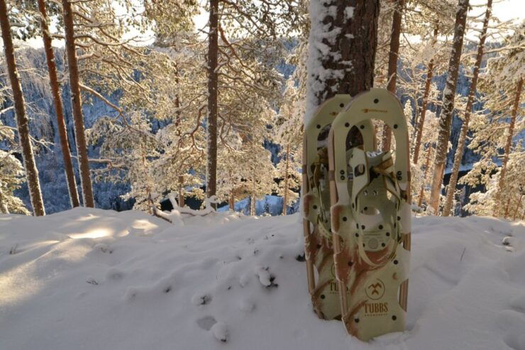 From Ruka: Snowshoeing in Riisitunturi National Park - Booking Details