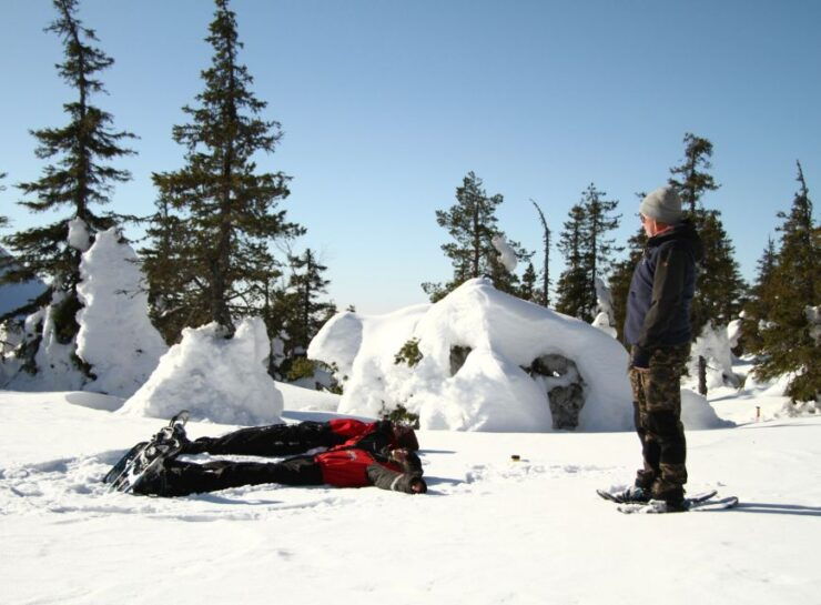From Ruka: Snowshoeing in Riisitunturi National Park - Experience Highlights