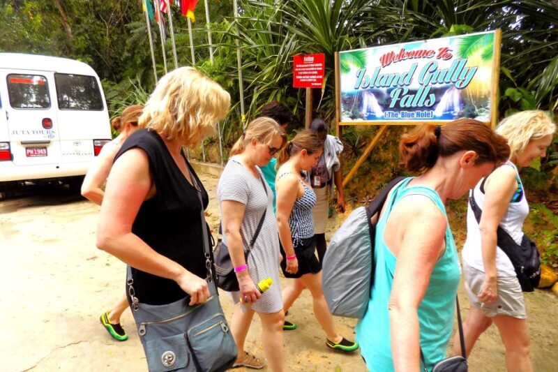 From Runaway Bay: Island Gully Falls and Blue Hole Tour - Why Choose This Tour?