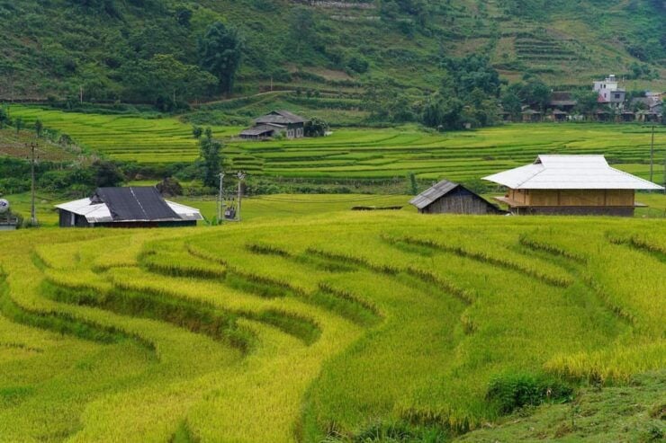 From Sa Pa: Half Day Muong Hoa Valley Trek and Ethnic Tribes - Itinerary and Experience