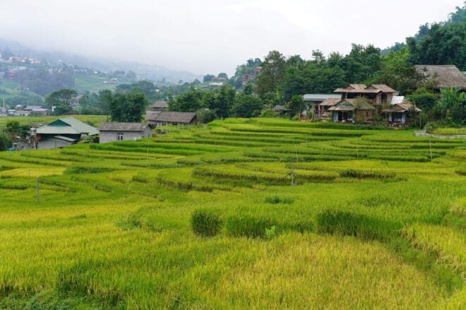 From Sa Pa: Half Day Muong Hoa Valley Trek and Ethnic Tribes - Inclusions and Exclusions