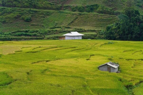 From Sa Pa: Half Day Muong Hoa Valley Trek and Ethnic Tribes - Important Guidelines