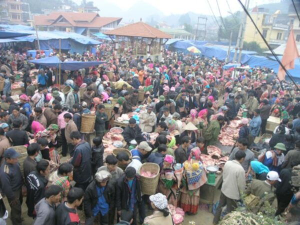 From Sa Pa: Sunday Bac Ha Market Group Tour - Common Questions
