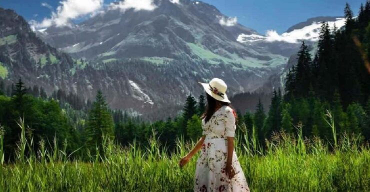 From Saanen: Private Bollywood Attractions Tour - Booking Information