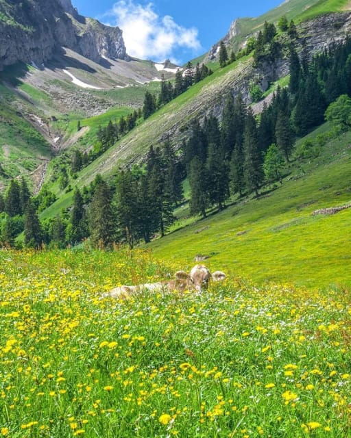 From Saanen: Private Bollywood Attractions Tour - Inclusions and Exclusions