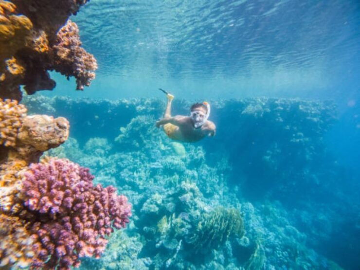 From Safaga: Diving & Snorkeling Trip 2 Spots With Lunch - Booking Details