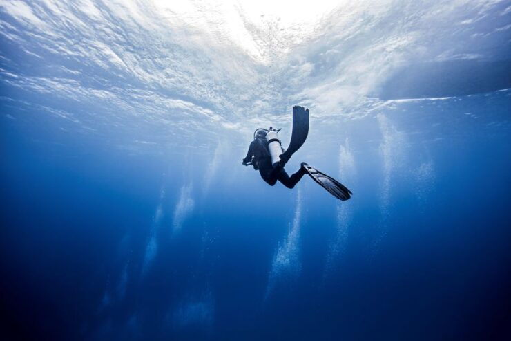 From Safaga: Diving & Snorkeling Trip 2 Spots With Lunch - Inclusions
