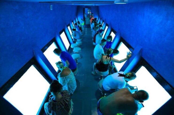 From Safaga or Soma Bay: Semi Submarine Tour With Snorkeling - Transportation and Pickup