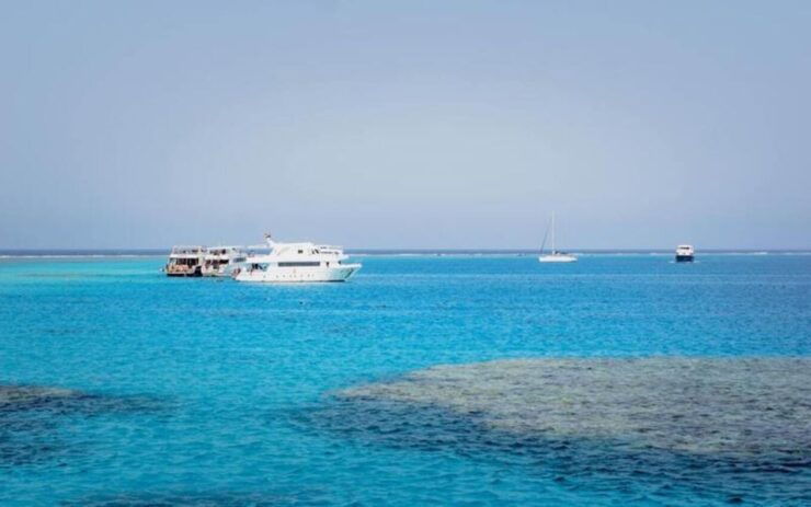 From Safaga Port: Giftun Island Snorkeling Cruise With Lunch - Booking Information