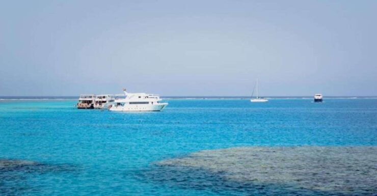 From Safaga Port: Giftun Island Snorkeling Cruise With Lunch - Experience Details