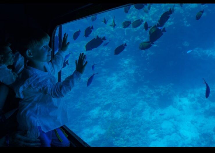 From Safaga : Royal Seascope Submarine With Snorkeling - Activity Details