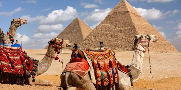 From Safaga/Soma Bay: Pyramids & Egyptian Museum Day Tour - Activity Details