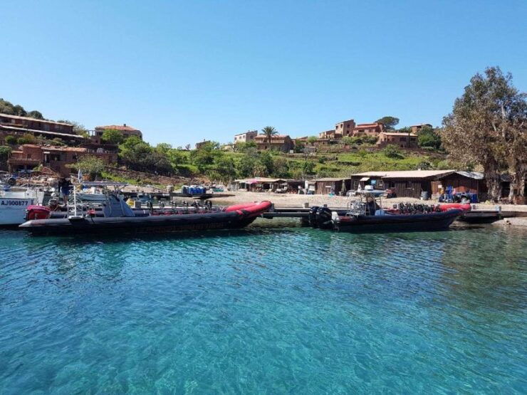 From Sagone/Cargèse: Capo Rosso, Piana & Scandola Boat Tour - Booking Information
