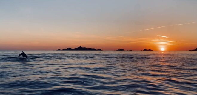 From Sagone or Cargèse: Sanguinaires Islands Sunset Tour - Experience Highlights