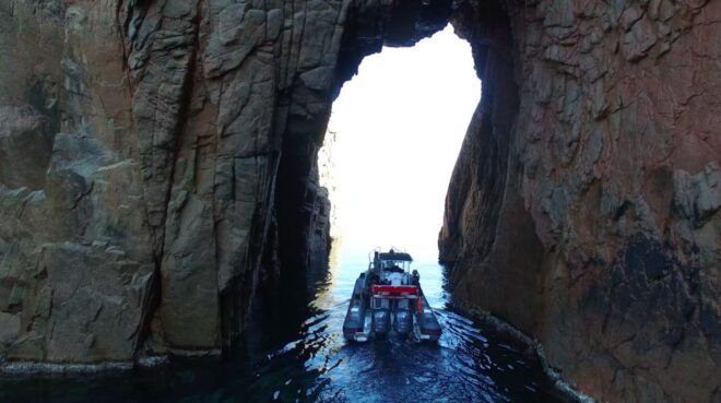 From Sagone: Sightseeing Cruise of Corsica Island - Important Information