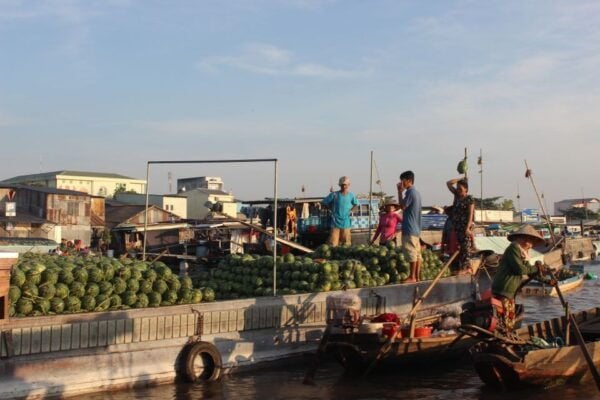 From Saigon: Private Tour to Cai Rang Floating Market 1 Day - Additional Information