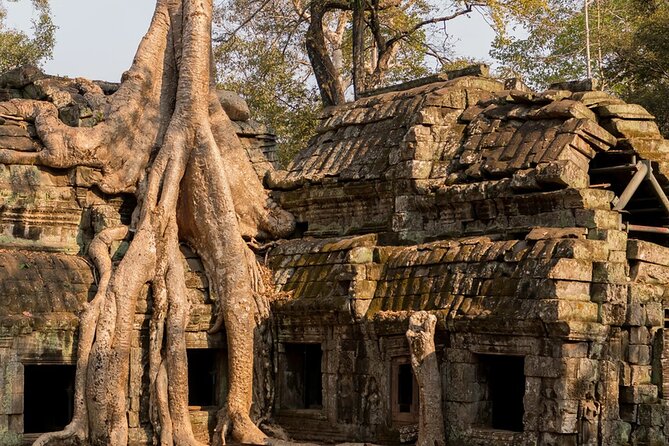 From Saigon to Angkor: A 7-Day Cultural Journey - Customer Reviews and Ratings