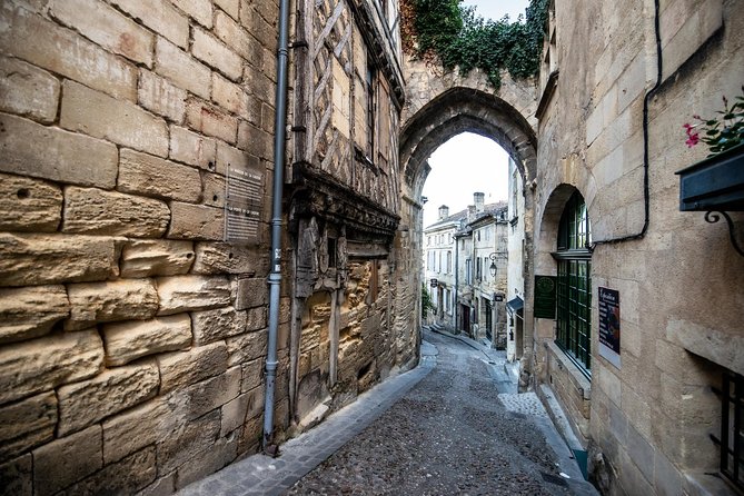 From Saint-Emilion : Electric Bike Day Tour With Wine Tastings and Picnic Lunch - Vineyard Exploration