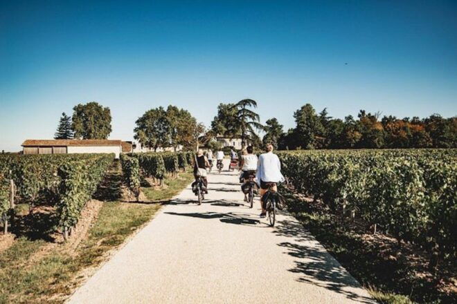 From Saint-Emilion : Half Day Electric Bike Tour - Group Size and Language