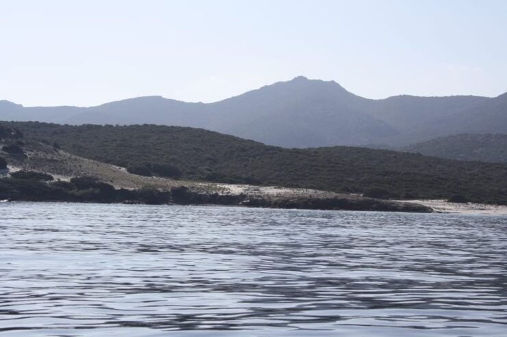 From Saint-Florent: Boat Transfer to Saleccia or Lotu Beach - Pricing Details
