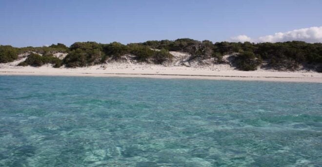 From Saint-Florent: Boat Transfer to Saleccia or Lotu Beach - Duration of the Trip