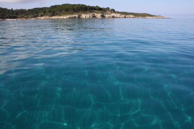 From Saint-Florent: Boat Transfer to Saleccia or Lotu Beach - Meeting Point Information