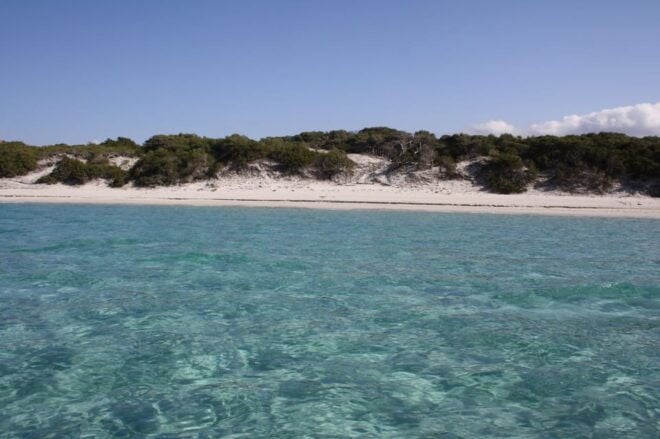 From Saint-Florent: Boat Transfer to Saleccia or Lotu Beach - Tips for a Great Day
