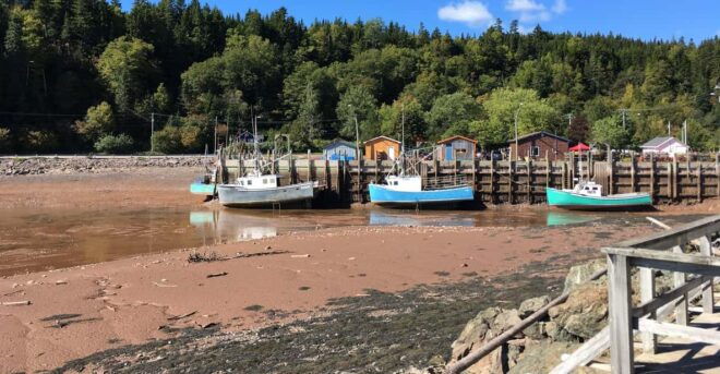 From Saint John: Bay of Fundy Bus Trip for Cruise Passengers - Availability and Departure Times