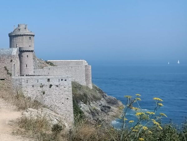 From Saint-Malo: Dinan & Fort La Latte & Cap Fréhel Tour - Questions You May Have