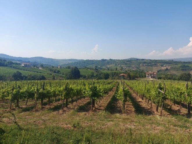 From Salerno: Irpinia Wine Tour Half-Day Trip - Directions